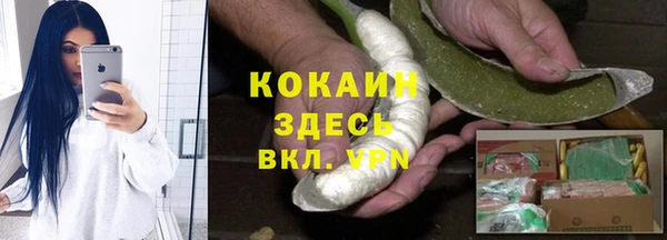 стаф Абинск