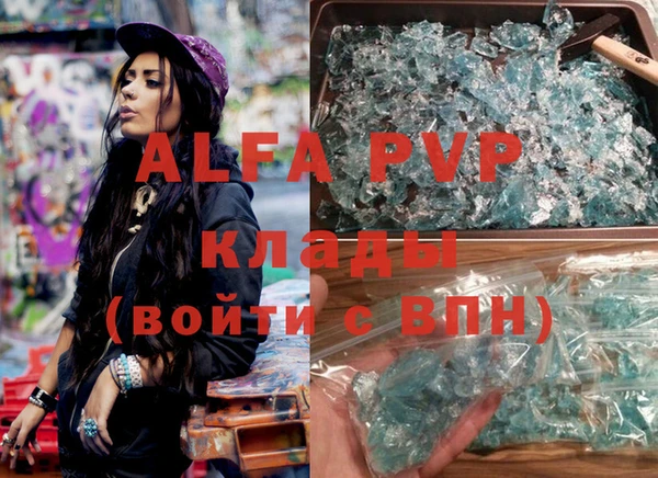 стаф Абинск
