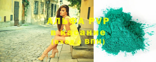 стаф Абинск