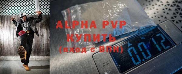 дживик Абаза