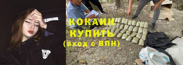 гашик Алзамай