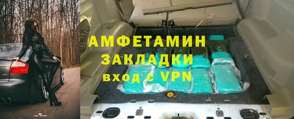 дживик Абаза