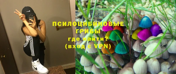стафф Алексеевка