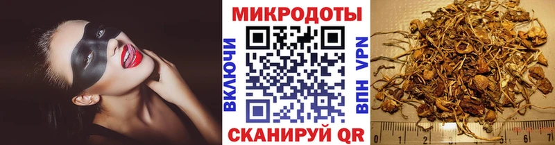 Псилоцибиновые грибы Psilocybe  Янаул 